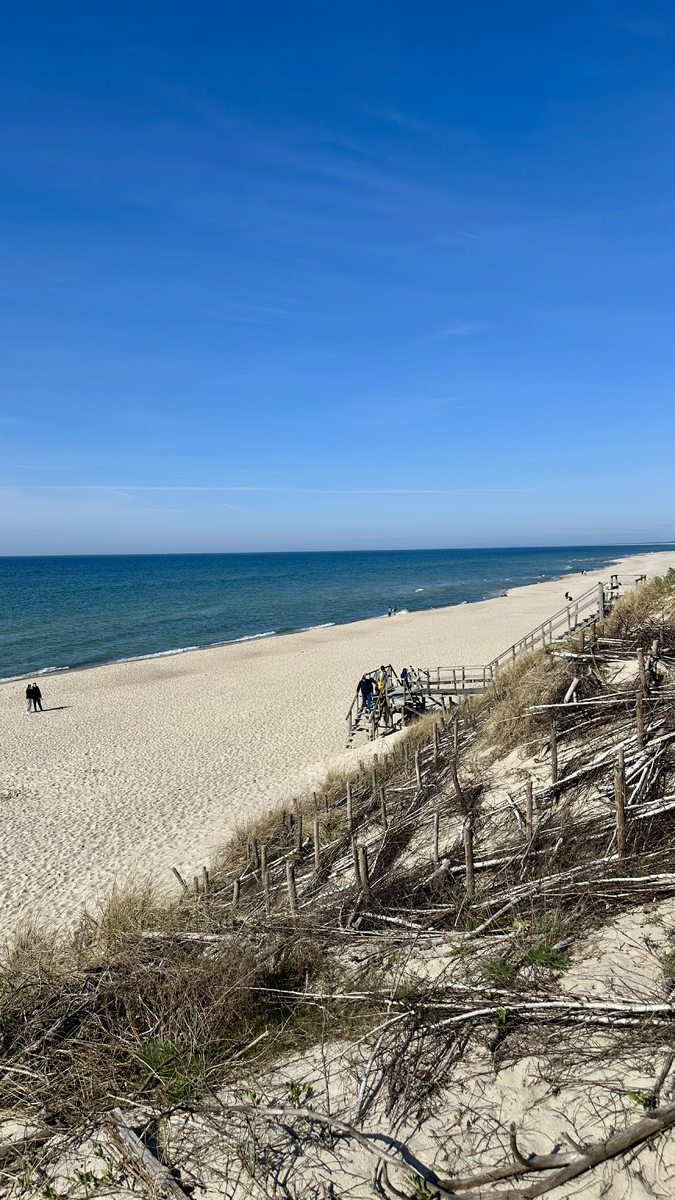 Куршская коса