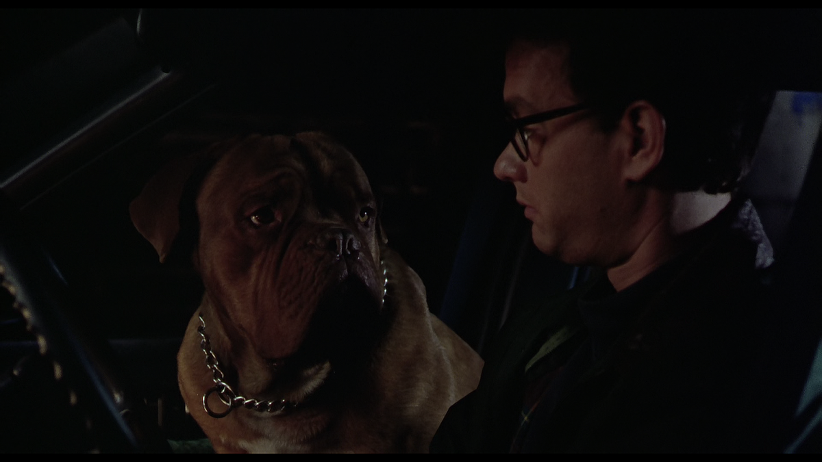 Кадр из фильма Тёрнер и Хуч (1989)