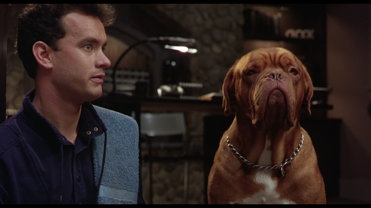 Кадр из фильма Тёрнер и Хуч (1989)