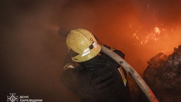    © Telegram Владимир Зеленский