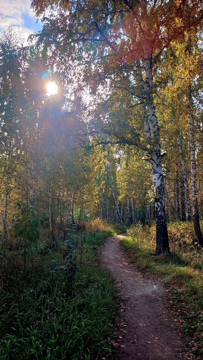 "Доброе утро, мир! Ты прекрасен!" Фото автора