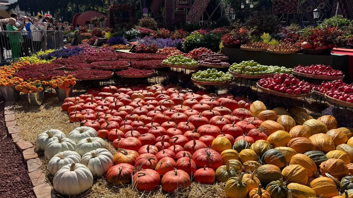 © photo: Sputnik / Stringer