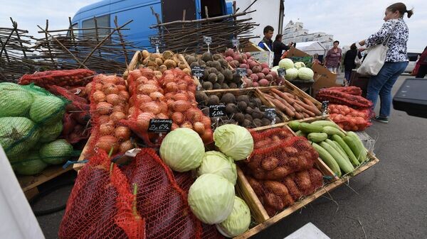    © Sputnik / Виктор Толочко