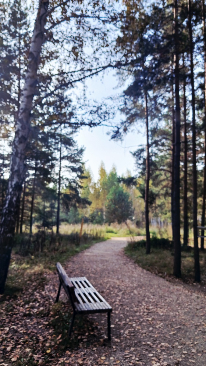 " Доброе утро, мир! Ты прекрасен!" Фото автора