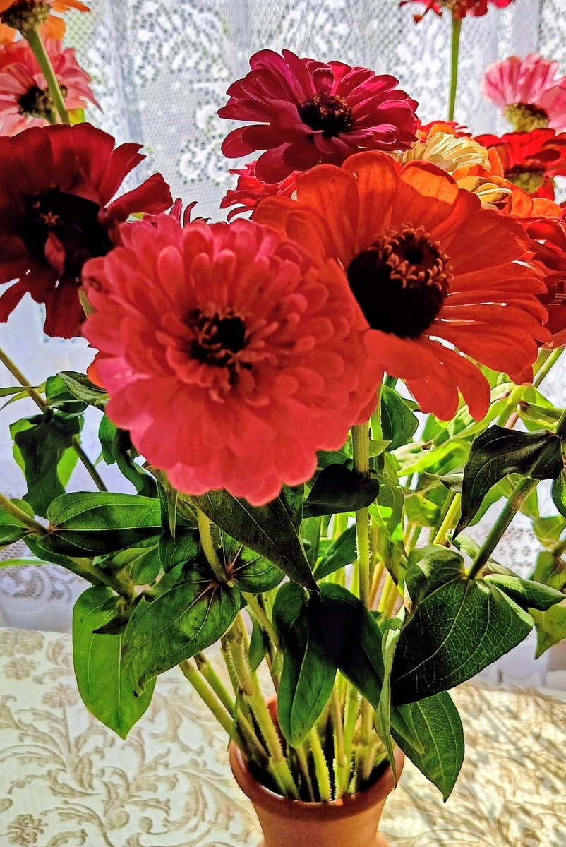 Из личного архива