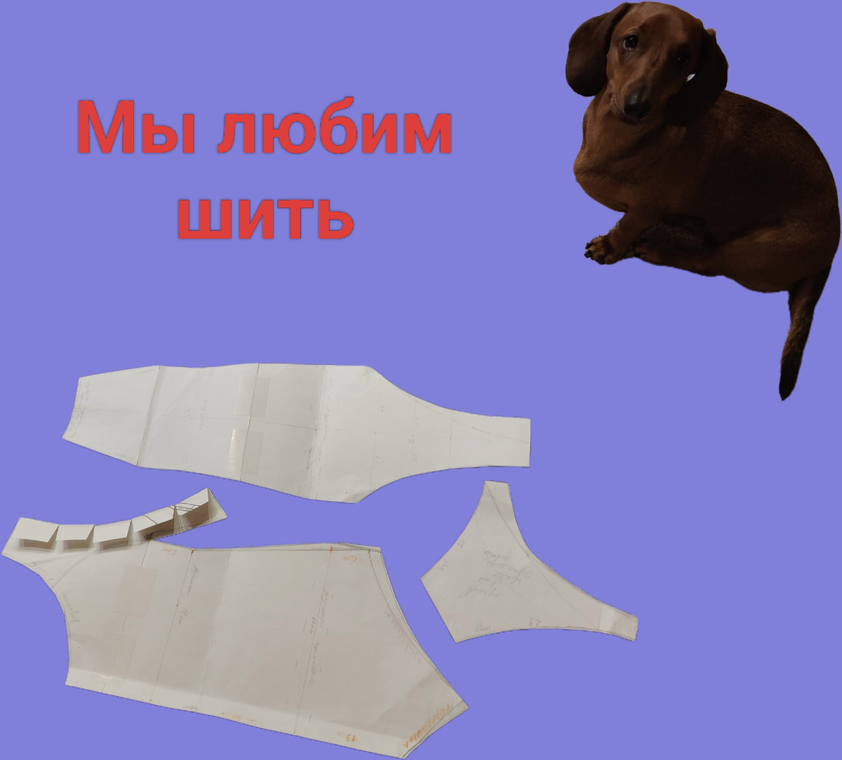 Мы любим шить