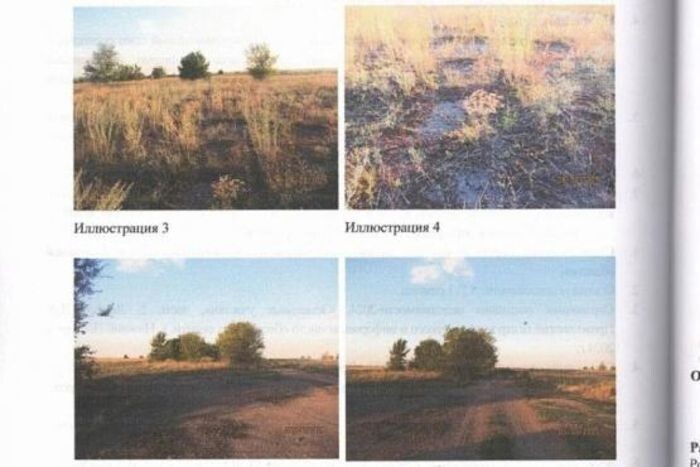 Иллюстрация: Гис-Торги