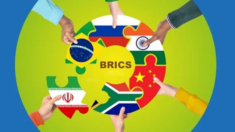 Группа БРИКС: Новая модель международного сотрудничества