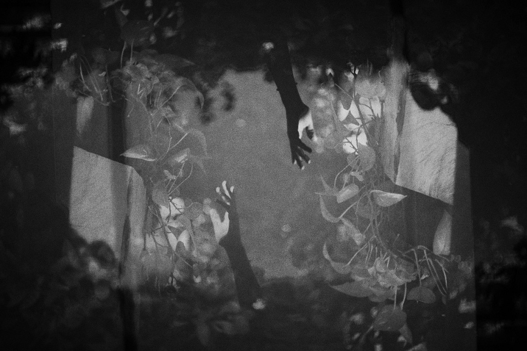 Источник: https://unsplash.com/