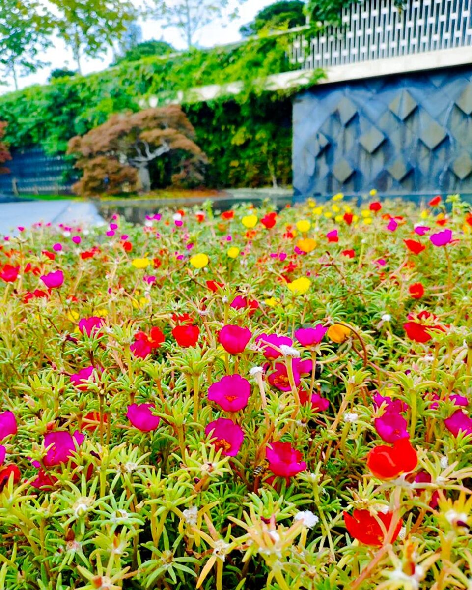 Японский уголок в Парке Галицкого