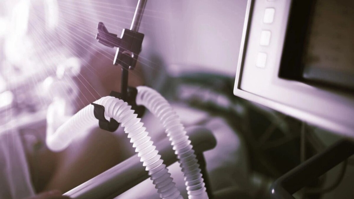    Фото: sfam_photo/Shutterstock/Fotodom