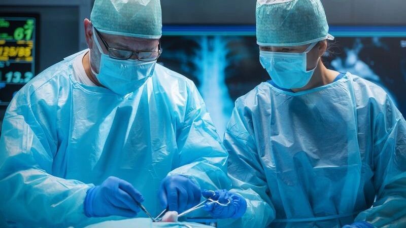    Фото: Max Acronym/Shutterstock/Fotodom