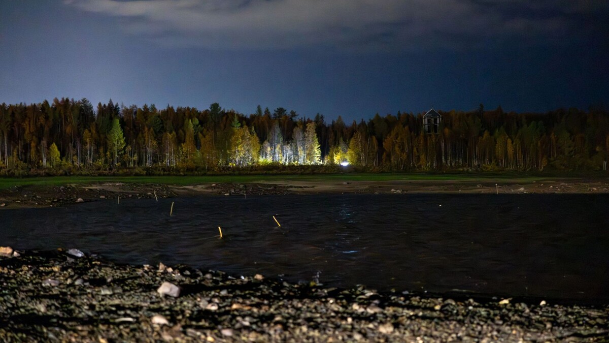    Фото: Федор Воронов/«Ямал-Медиа»