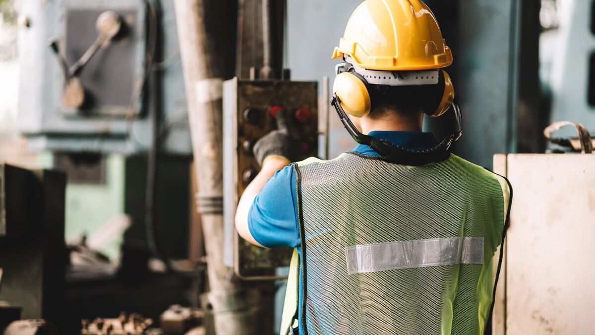    Фото: BigBlues/Shutterstock/Fotodom