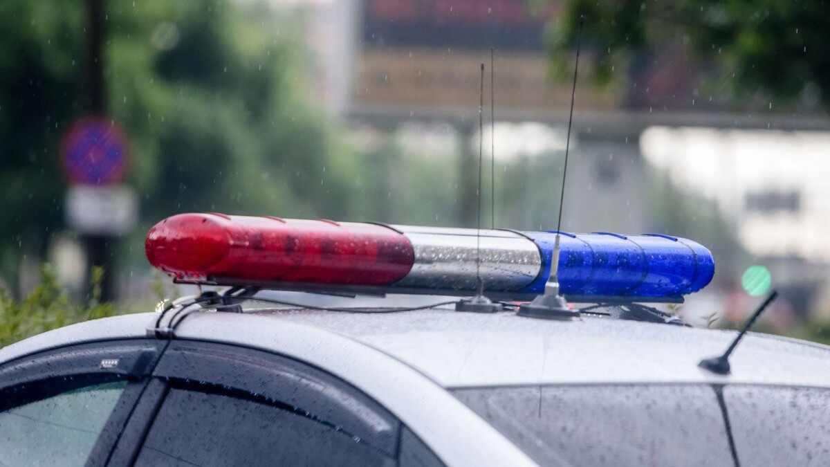    Фото: Anna Nikonorova/Shutterstock/Fotodom