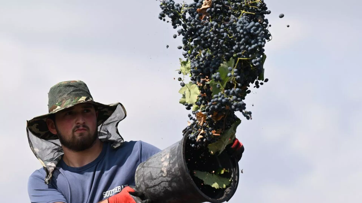 © photo: Sputnik / Stringer