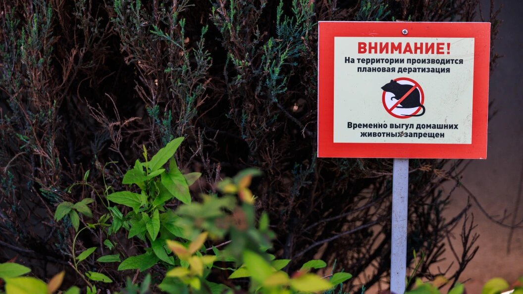    Фото: Sergey Elagin/Business Online/Globallookpress