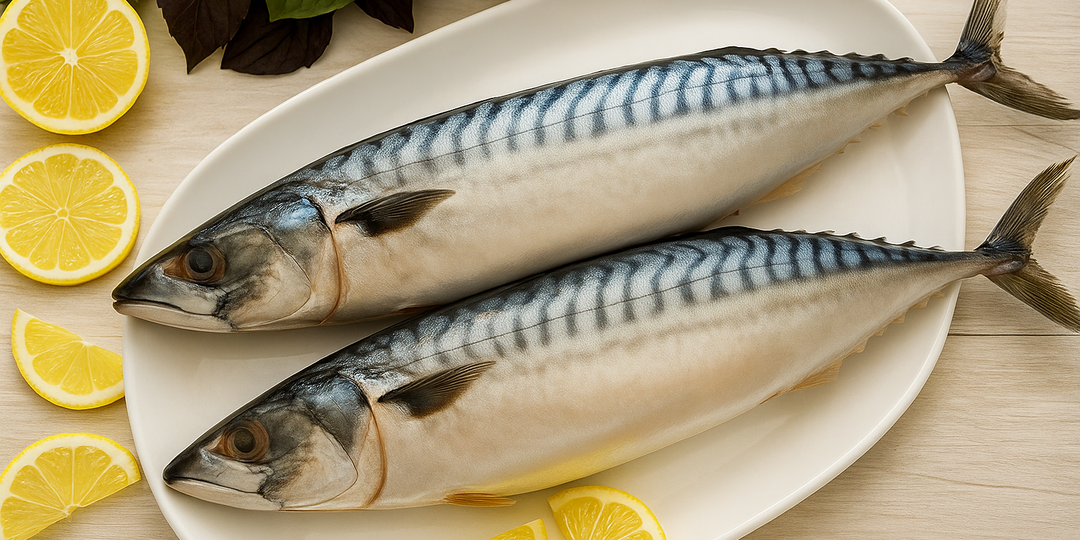 Скумбрия. Три преображения одной рыбы.