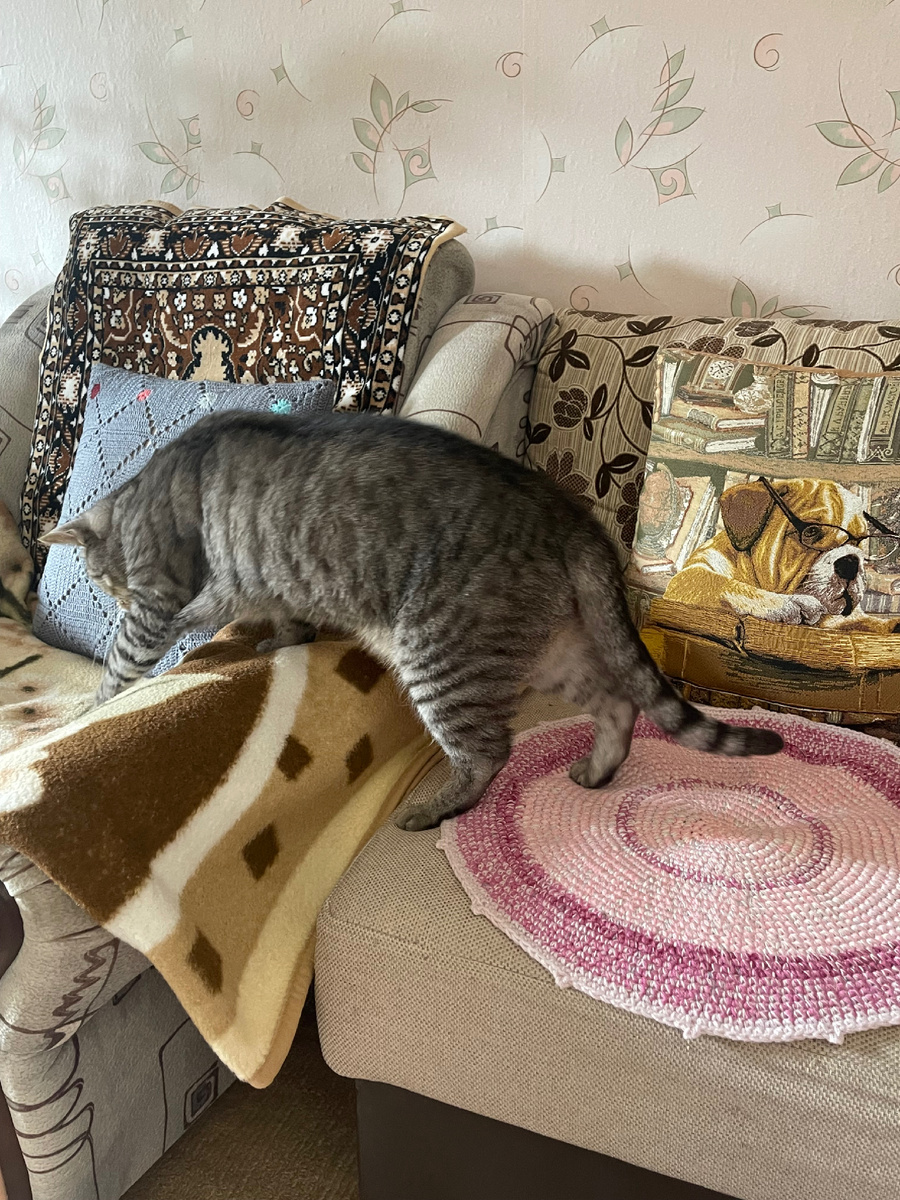 Ричард - наш любимчик.