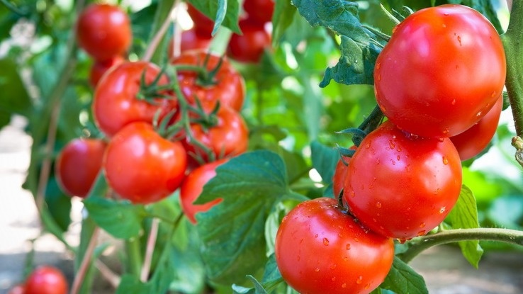 Результат говорит сам за себя