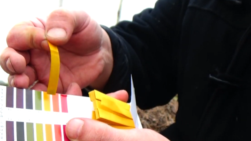 Контроль кислотности и нейтрализация золой - основа успешного применения хвои