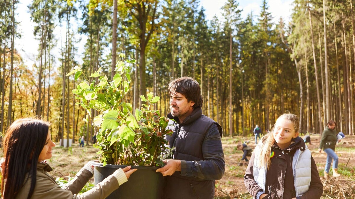    Фото: Robert Kneschke / Shutterstock / Fotodom