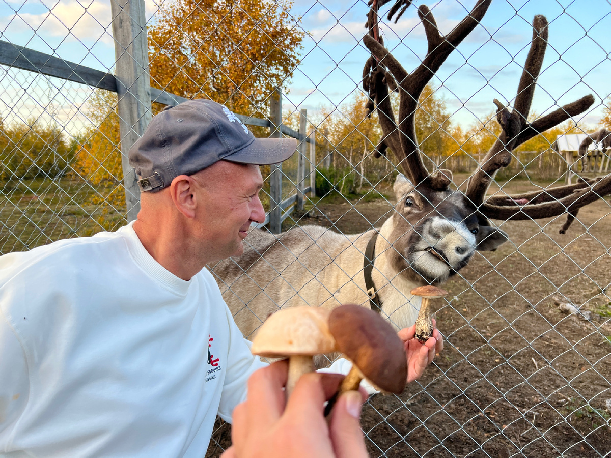 Все фото: канал Зоркий