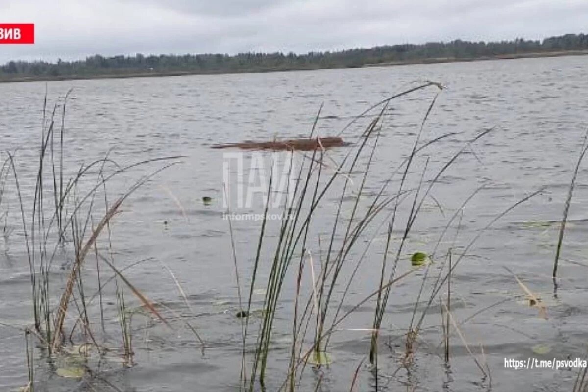    Рыбак утонул в озере Мелкое в Невельском округе