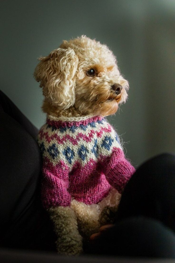 Фото из Pinterest 