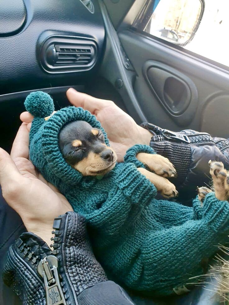 Фото из Pinterest 