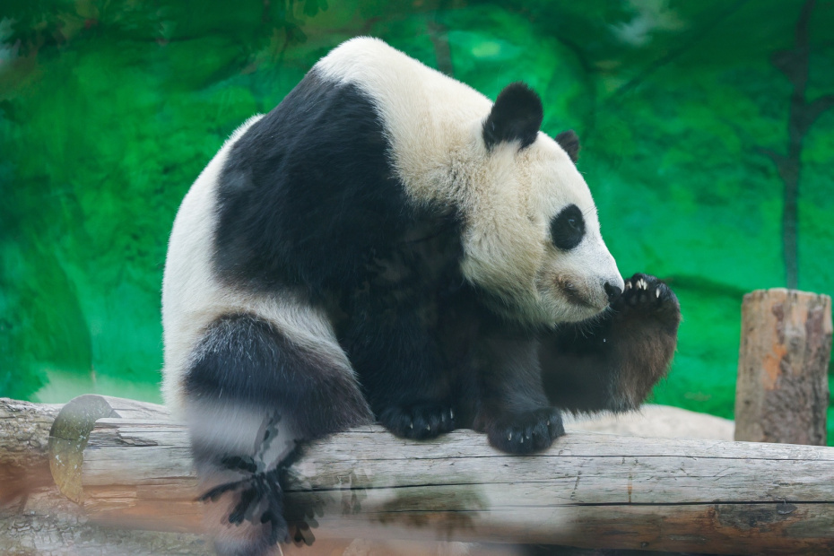    Наталья Шатохина/NEWS.ru