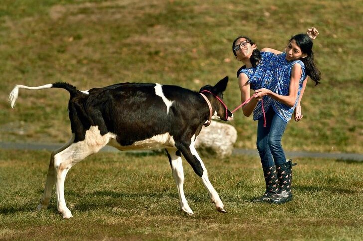    Кармен и Люпита Андраде