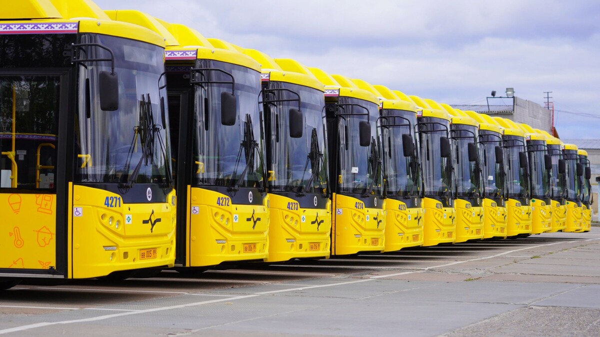    Фото: Юлия Чудинова / «Ямал-Медиа»