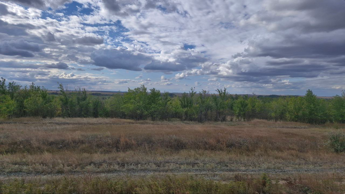 В поезде в окно было грустно смотреть