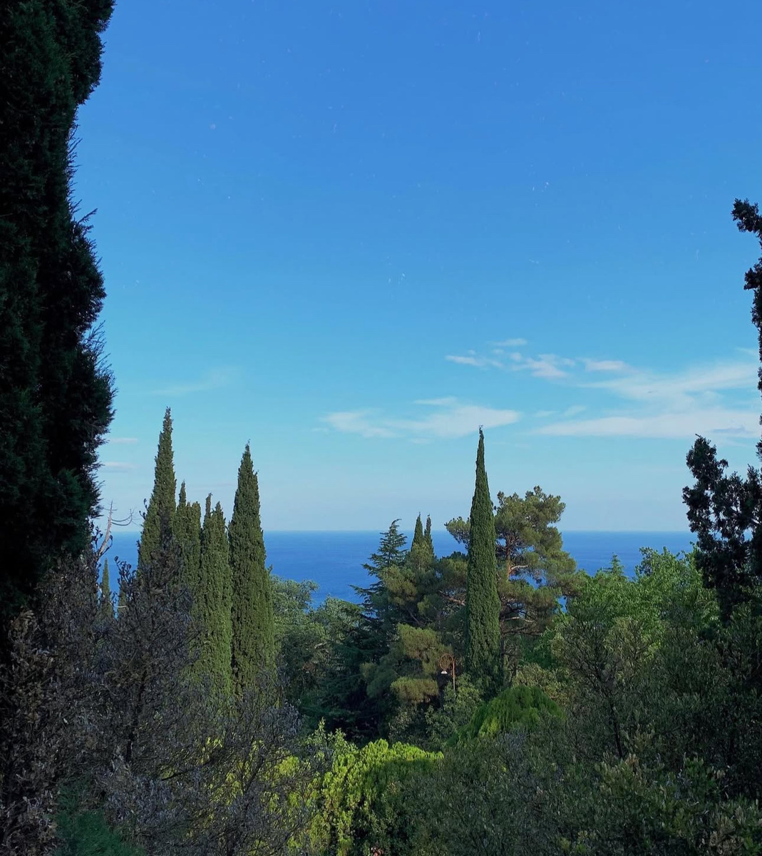 Вид из Ливадийского дворца на море. Фото автора 