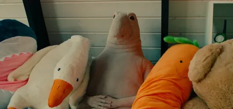 Ого, я уже в первом раунде получил балл!