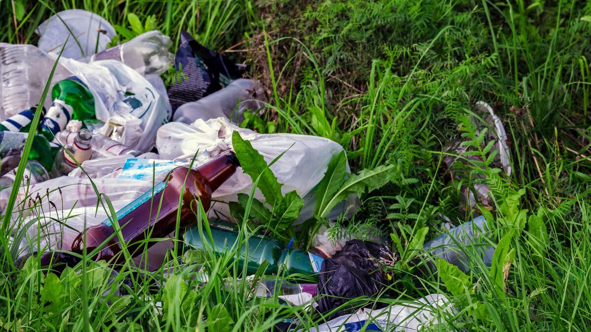    Фото: Frezi Gate/Shutterstock/Fotodom