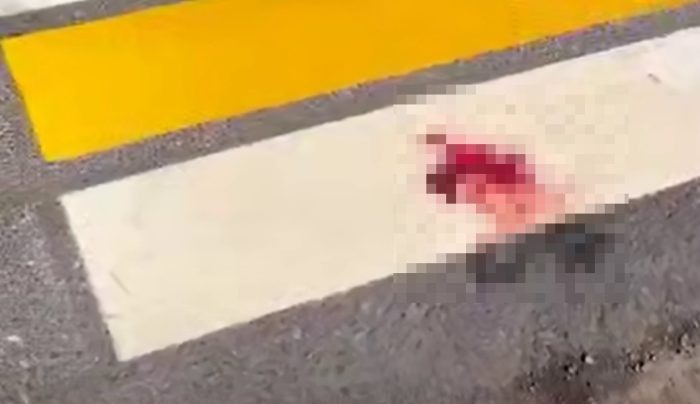 кадр из видео Mash Siberia.