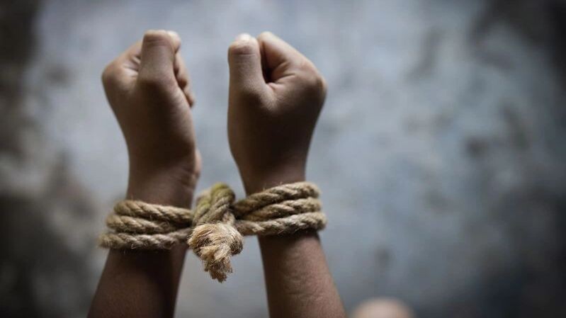    Фото: Tinnakorn jorruang/Shutterstock/Fotodom