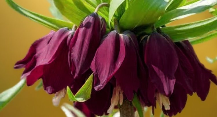    Фото: Медведева Анна, AgroXXI.ru