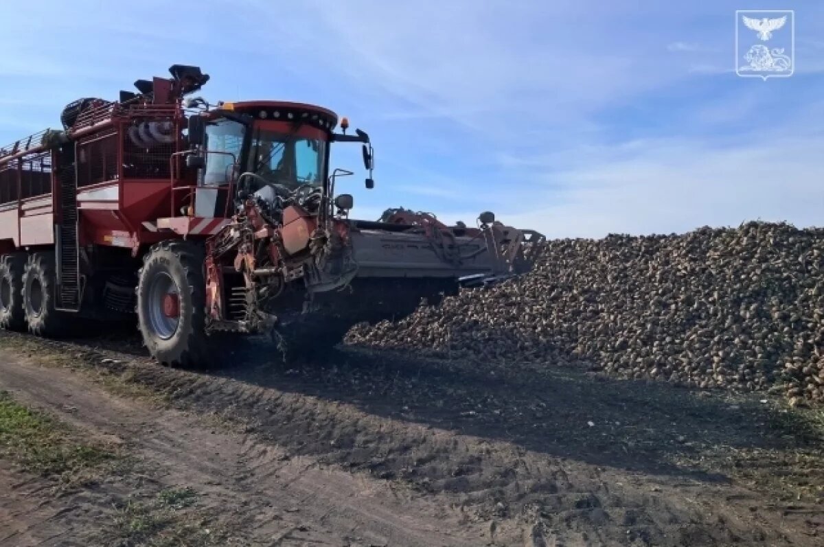    Власти рассказали о ходе уборочной кампании в белгородском районе