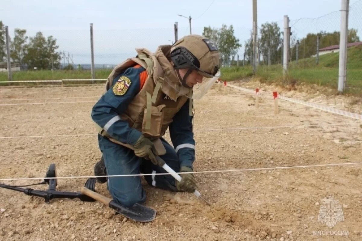    Тульский спасатель стал одним из лучших пиротехников