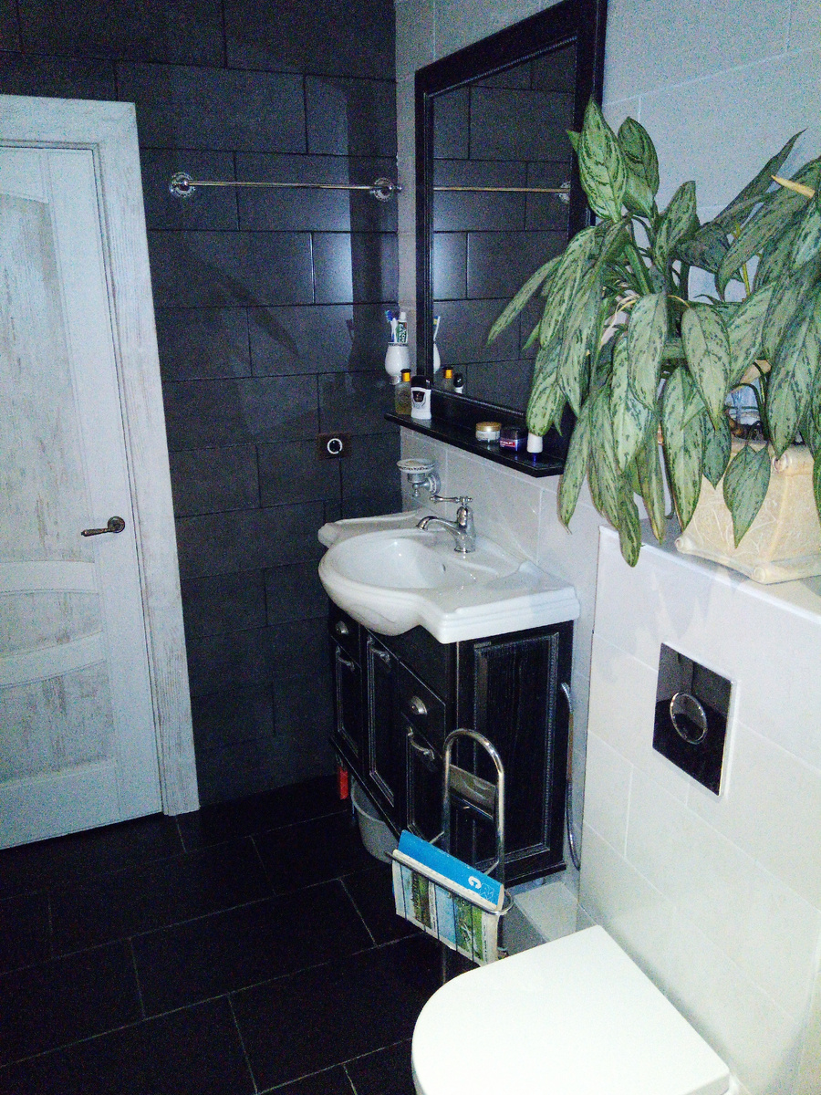 Так лучше видно и держатель с журналом, и тазик на полу и красную точку - кусок от лейки. От гигиенического душа виден только шланг