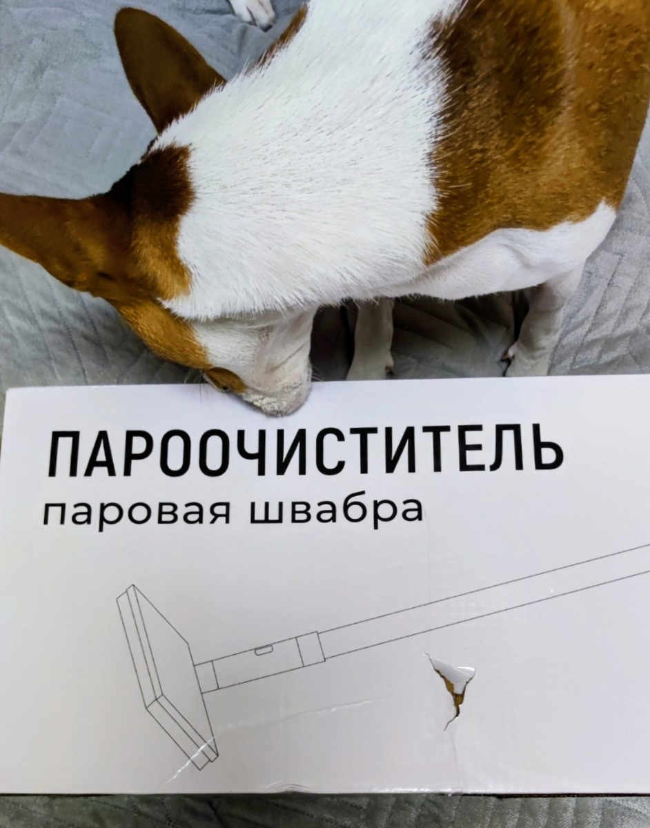 Мартин помогает мне швабру освоить 😁