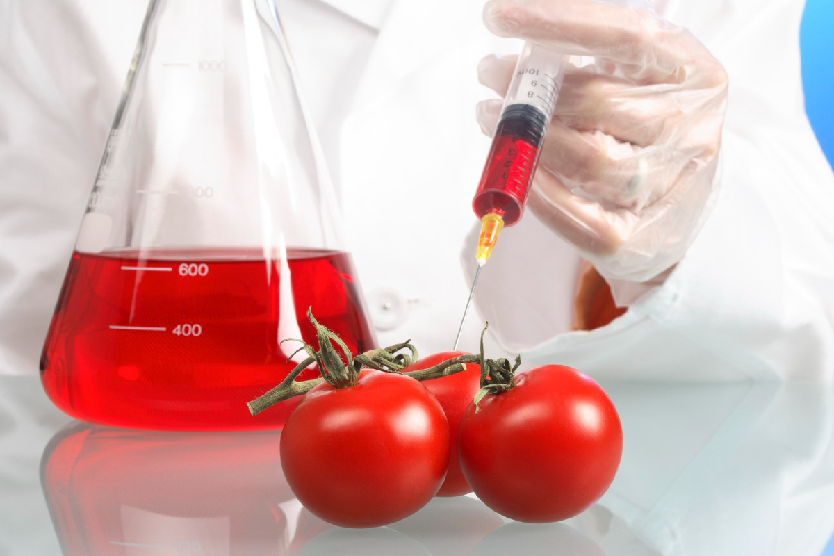 Фото: © Ralph Kerpa/ http://imagebroker.com/#/search// Global Look Press