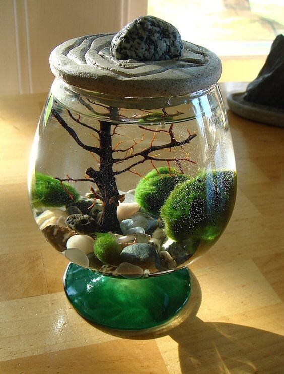 Фото из открытых источников.