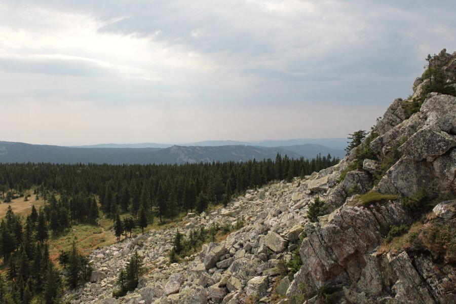     / Источник: © Андрей Попов/РИА Новости