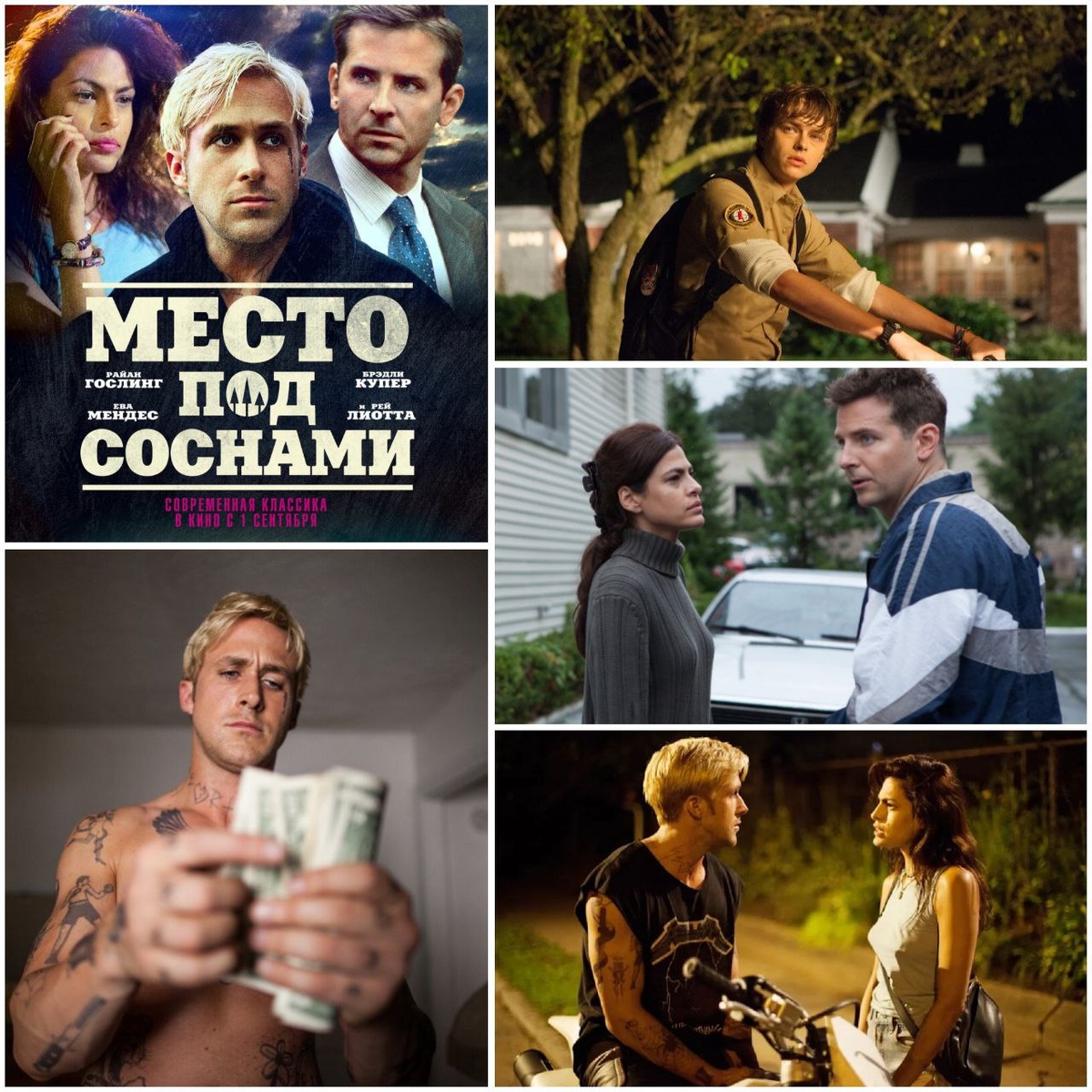 КиноПоиск 7.3