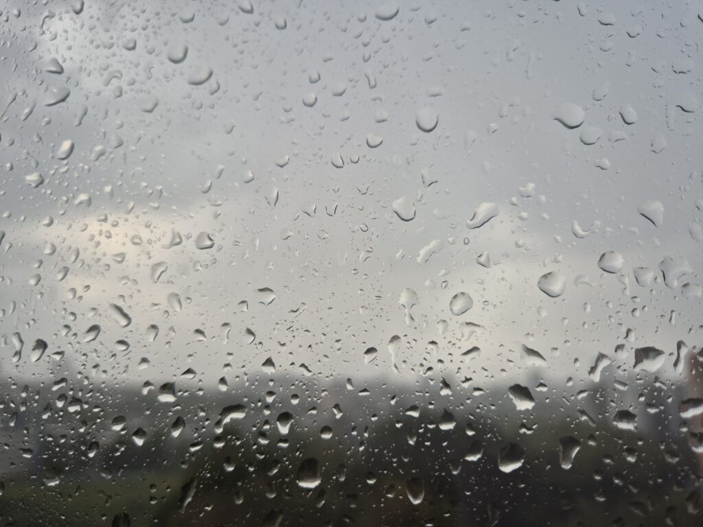    Фото: В курсе.ру Екатерина Радченко