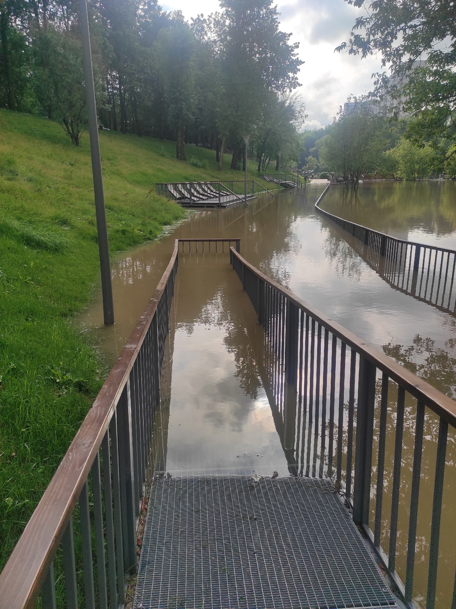 Фото сделано автором